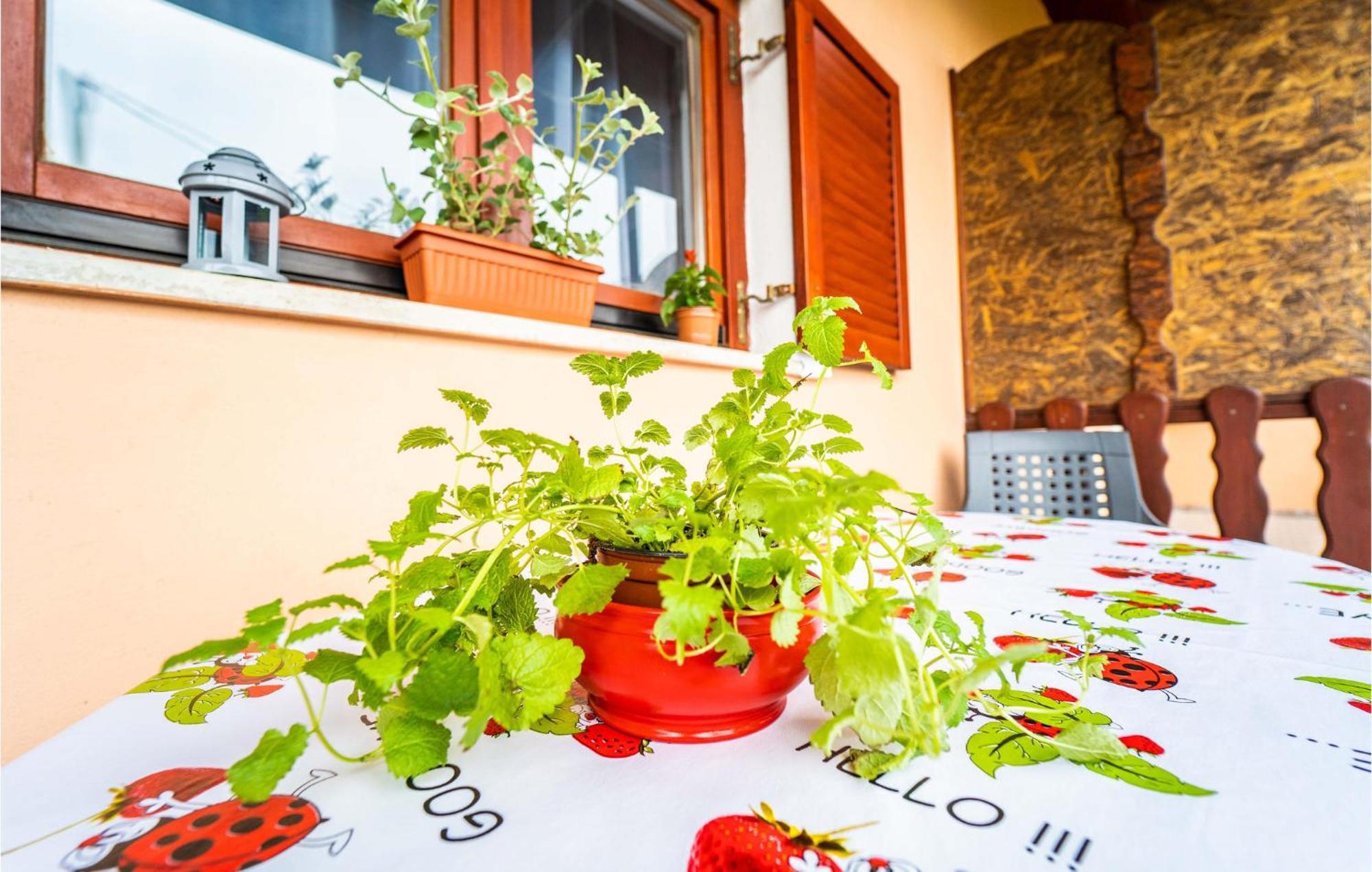 Amazing Apartment In Krnica With Kitchen Екстер'єр фото